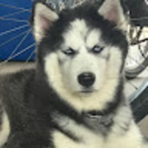 Meet your Posher, Cynthia